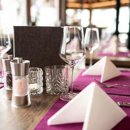 酒店 Austria Alpinhotel In Out An Der Edelweissbahn 3*